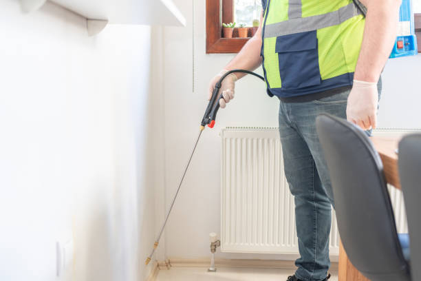 Best Bed Bug Extermination  in Bay St Louis, MS