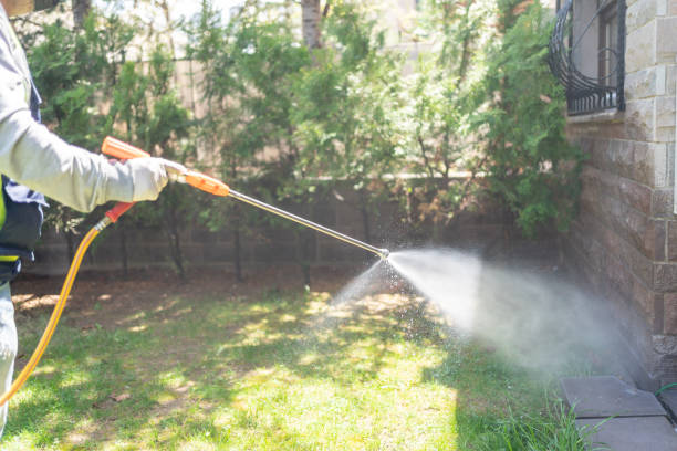 Best Pest Control Near Me  in Bay St Louis, MS